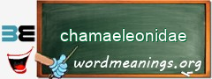 WordMeaning blackboard for chamaeleonidae